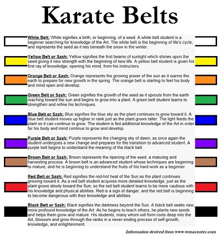Karate belt chart on sale